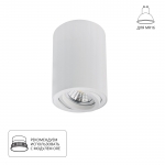 Накладной светильник ARTE LAMP SENTRY A1566PL-1WH