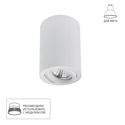 Накладной светильник ARTE LAMP SENTRY A1566PL-1WH