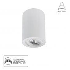 Накладной светильник ARTE LAMP SENTRY A1566PL-1WH