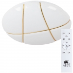 Потолочный светодиодный светильник Arte Lamp BISCOTTI A2677PL-72GO