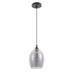 Светильник Arte Lamp PROPUS A4344SP-1BK