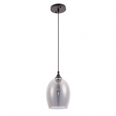 Светильник Arte Lamp PROPUS A4344SP-1BK