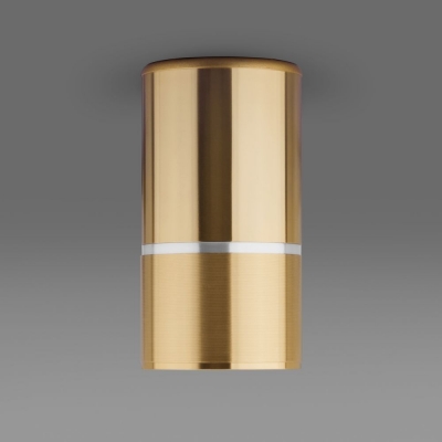 Накладной светильник Elektrostandard DLN106 золотого цвета