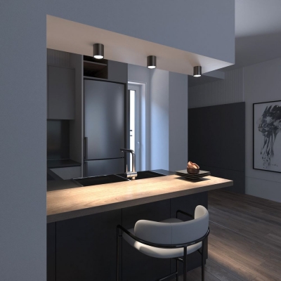 Накладной светодиодный светильник Elektrostandard DLR024 DL DLR024 6W 4200K