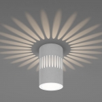 Накладной светодиодный светильник Elektrostandard DLS025 & DLS026 DLS026