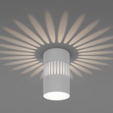 Накладной светодиодный светильник Elektrostandard DLS025 & DLS026 DLS026