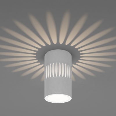 Накладной светодиодный светильник Elektrostandard DLS025 & DLS026 DLS026