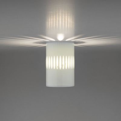 Накладной светодиодный светильник Elektrostandard DLS025 & DLS026 DLS026