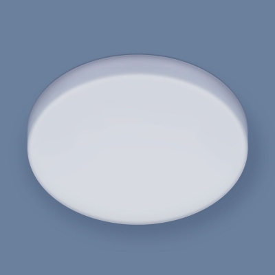 Накладной светодиодный светильник Elektrostandard DLS043 / DLR043 DLR043