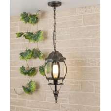 Подвесной уличный светильник Elektrostandard Farola GL 1001H