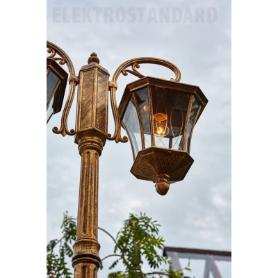 Уличный фонарь Elektrostandard Virgo GLXT-1450F/2