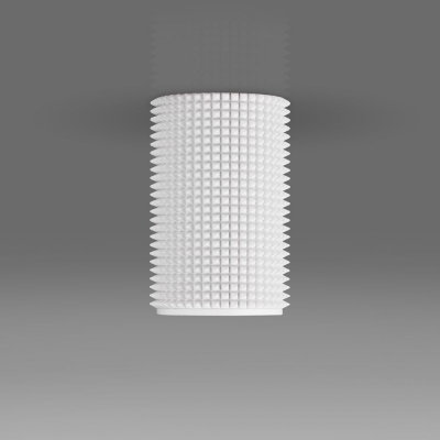 Накладной светильник Elektrostandard Spike DLN112 GU10