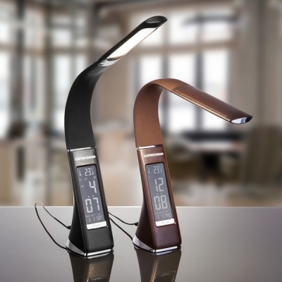 Настольная лампа Elektrostandard ELARA TL90220