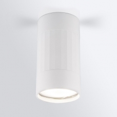 Накладной светильник Elektrostandard Mizar DLN111 GU10