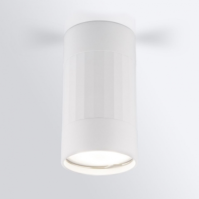 Накладной светильник Elektrostandard Mizar DLN111 GU10