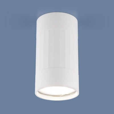 Накладной светильник Elektrostandard Mizar DLN111 GU10