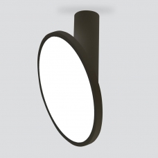 Накладной светодиодный светильник Elektrostandard Brain DLS029