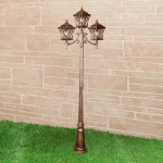 Уличный фонарь Elektrostandard Cassiopeya Cassiopeya F/3