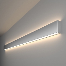 Горизонтальный светильник Elektrostandard Grand 101-100-40-128