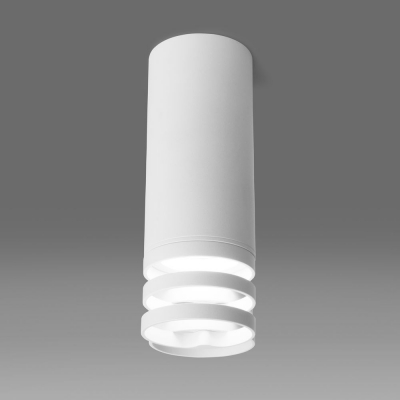 Накладной светильник белый Elektrostandard DLN102