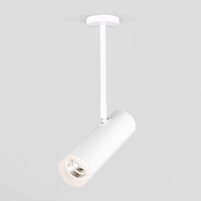 Накладной светильник Elektrostandard Oliver DLS022 белый