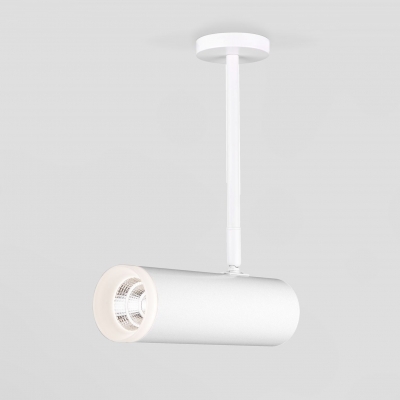 Накладной светильник Elektrostandard Oliver DLS022 белый