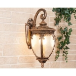 Настенный светильник уличный Elektrostandard Andromeda GLYF-8024D золото