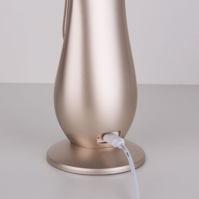 Настольная лампа Elektrostandard Orbit TL90420