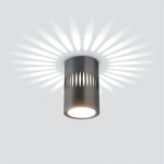 Светильник накладной Elektrostandard DLS025 4200К