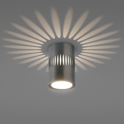 Светильник накладной Elektrostandard DLS025 4200К Светильник накладной Elektrostandard DLS025 4200К