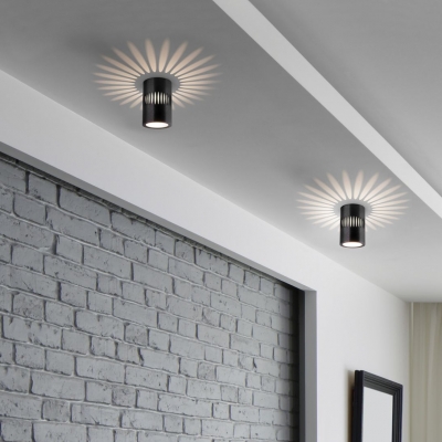 Накладной светодиодный светильник Elektrostandard DLS025