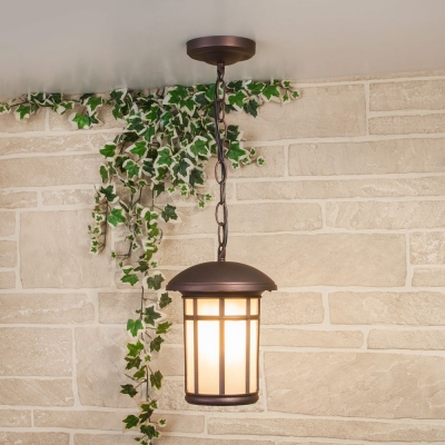 Подвесной уличный светильник Elektrostandard Lepus GL 1016H