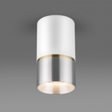Накладной светильник Elektrostandard DLN106/DLN107 DLN106 GU10
