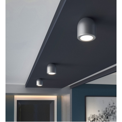 Накладной светильник Elektrostandard серебро Ogma