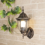 Настенный светильник уличный Elektrostandard Feliz GL 1002U