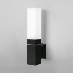 Настенный светильник уличный Elektrostandard Techno 1534 TECHNO LED