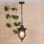 Подвесной уличный светильник Elektrostandard Barrel GL 1025H