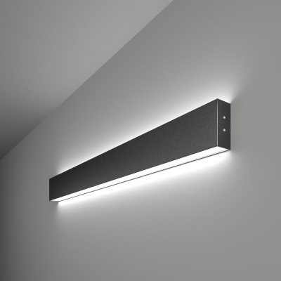 Светильник накладной на стену Elektrostandard черный