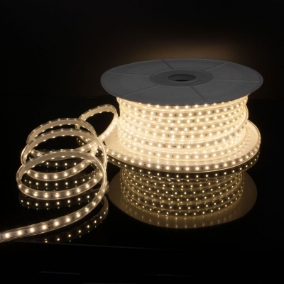 Светодиодная лента Elektrostandard LS015 220V IP65