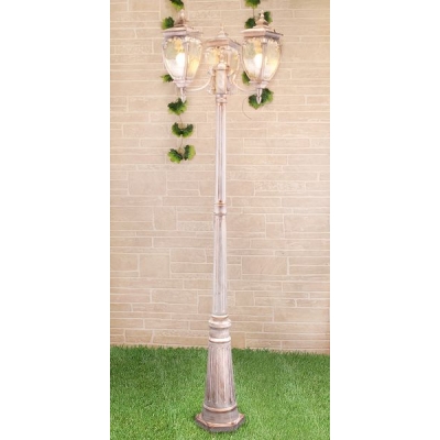 Уличный фонарь Elektrostandard Andromeda GLYF-8024F/3