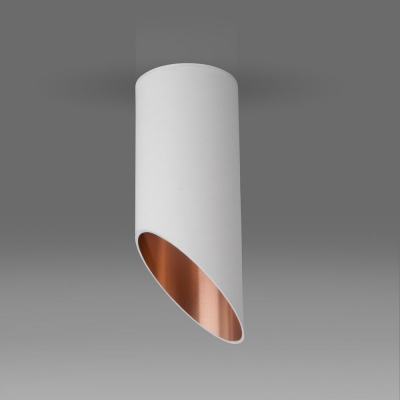 Накладной светильник Elektrostandard DLN114 белый GU10