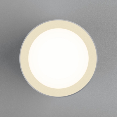 Накладной светодиодный светильник Elektrostandard Topper DLR022 12W 4200K