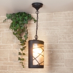 Подвесной уличный светильник Elektrostandard Premier GL 1017H