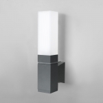 Настенный светильник уличный Elektrostandard Techno 1534 TECHNO LED серый