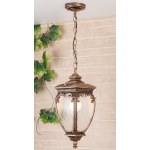 Подвесной уличный светильник Elektrostandard Andromeda GLYF-8024H