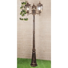 Уличный фонарь Elektrostandard Andromeda GLYF-8024F/3