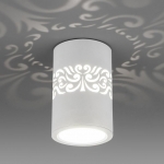 Накладной светодиодный светильник Elektrostandard DLS025 белый