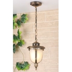 Подвесной уличный светильник Elektrostandard Atlas GLYF-2010H