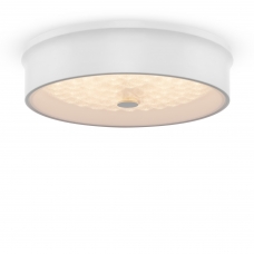 Потолочный светодиодный светильник Freya - FR10011CL-L24W