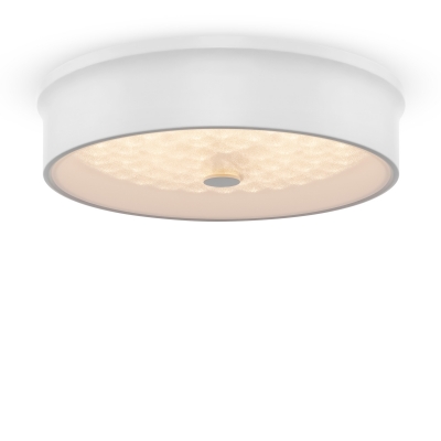 Потолочный светодиодный светильник Freya - FR10011CL-L24W